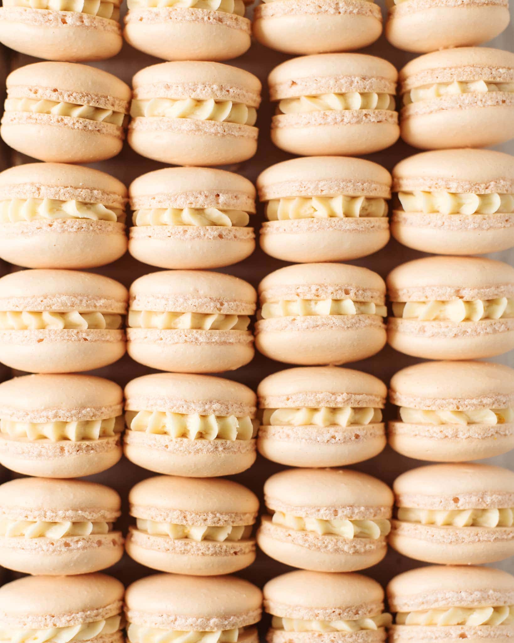 Close up shot of mandarin orange macarons lined up in rows