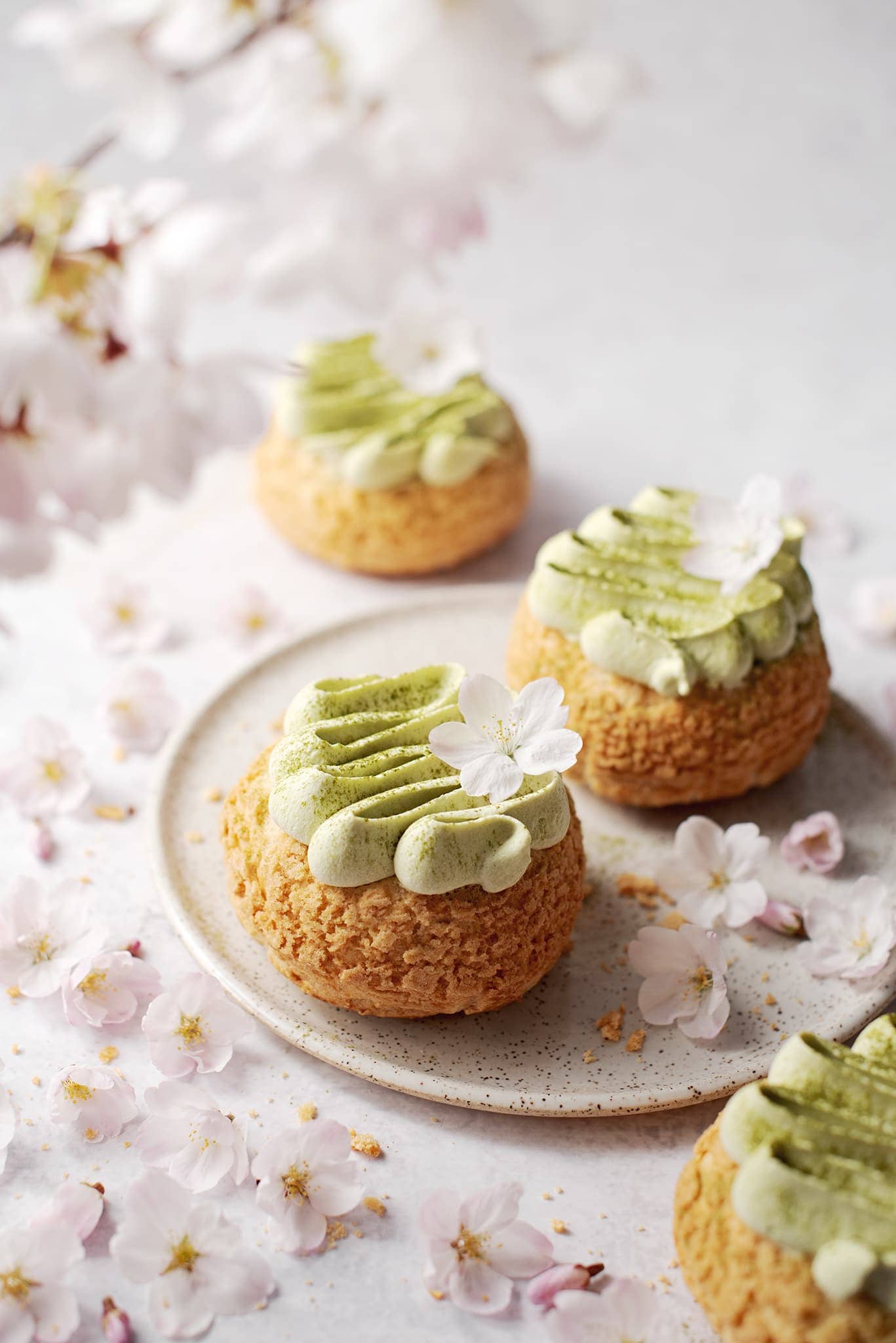 Matcha cream puffs surrounded by cherry blossoms