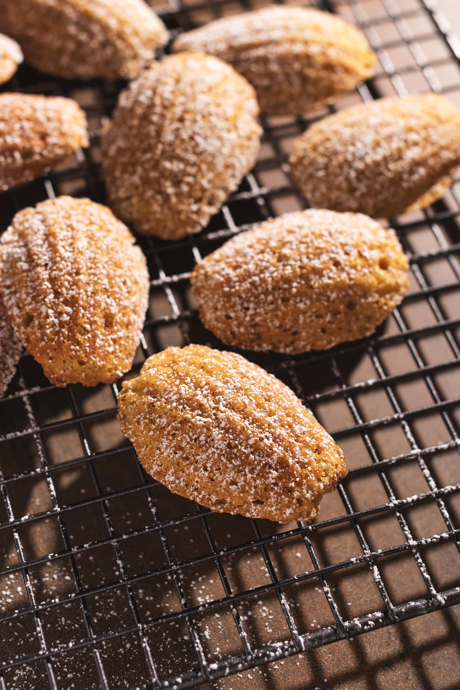 Close up of pumpkin madeleine showing ridges and powdered sugar.
