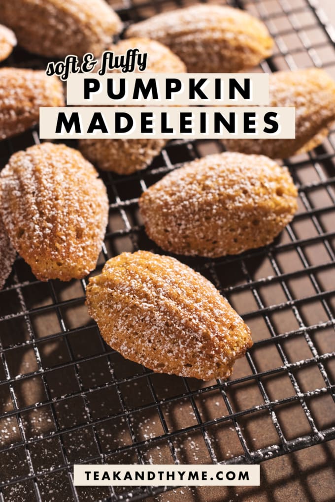 Close up of pumpkin madeleine showing ridges and powdered sugar.