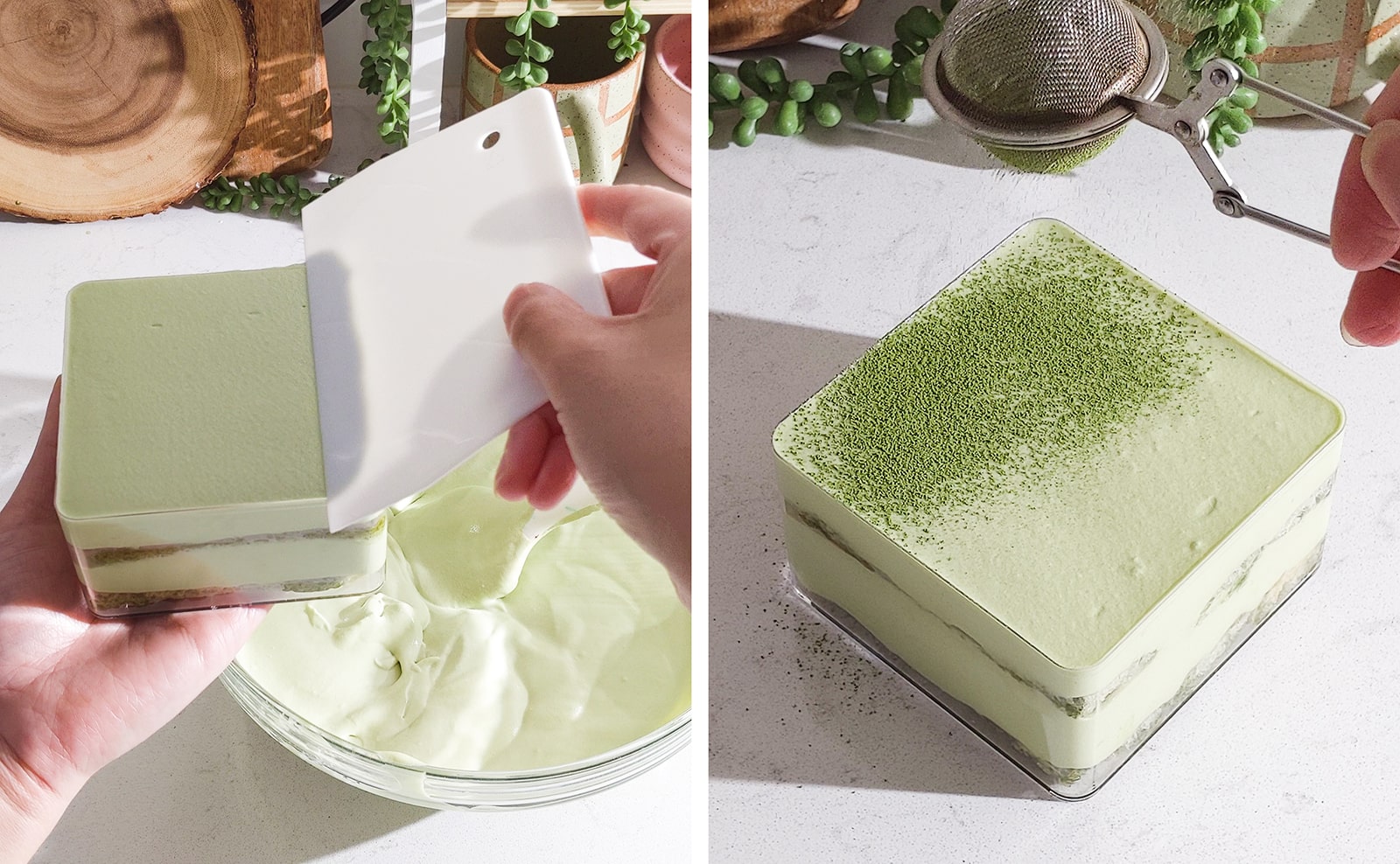 Sprinkling tiramisu with matcha powder.