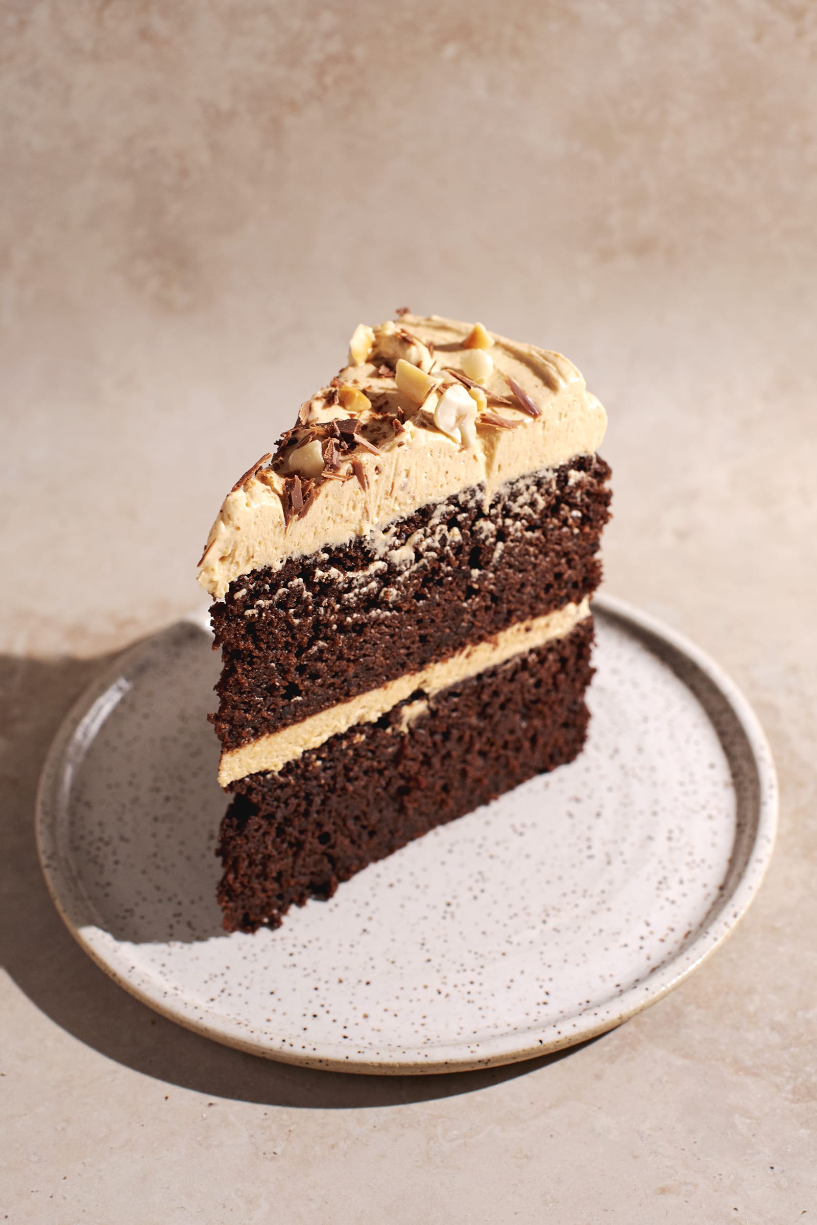 A single slice of chocolate cake on a speckled plate.