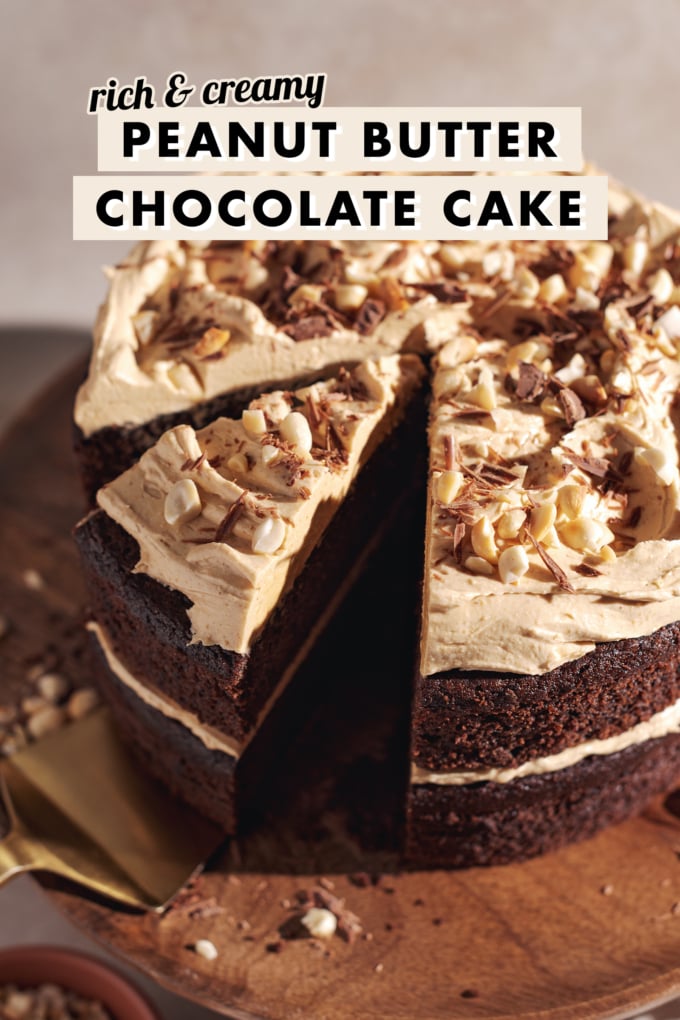Close-up of cake slice cut of a chocolate peanut butter cake.