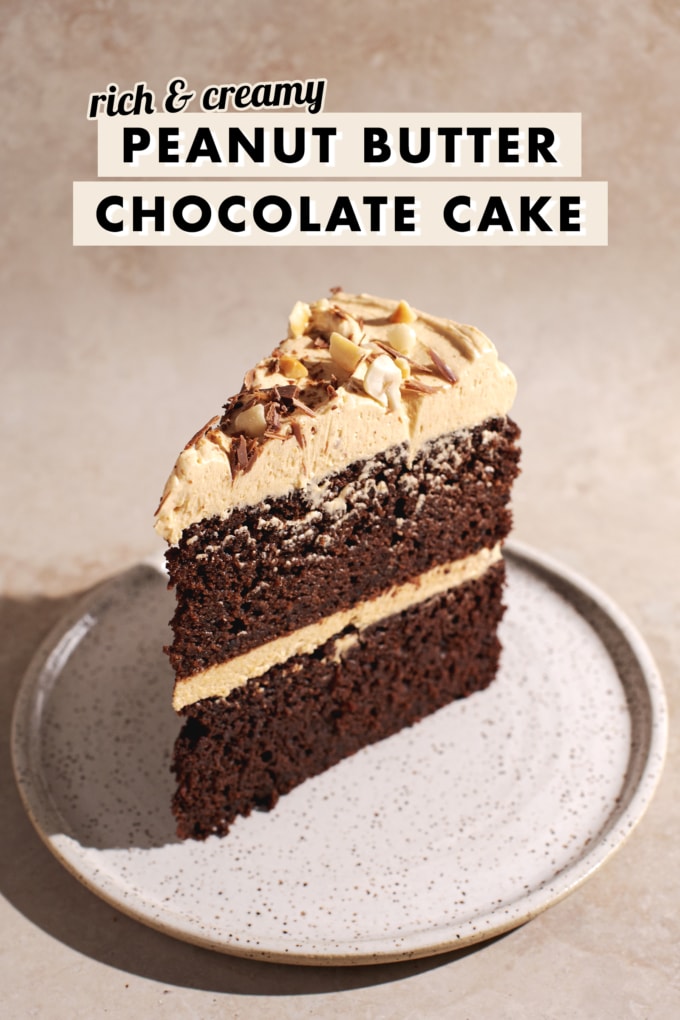 A single slice of chocolate cake on a speckled plate.