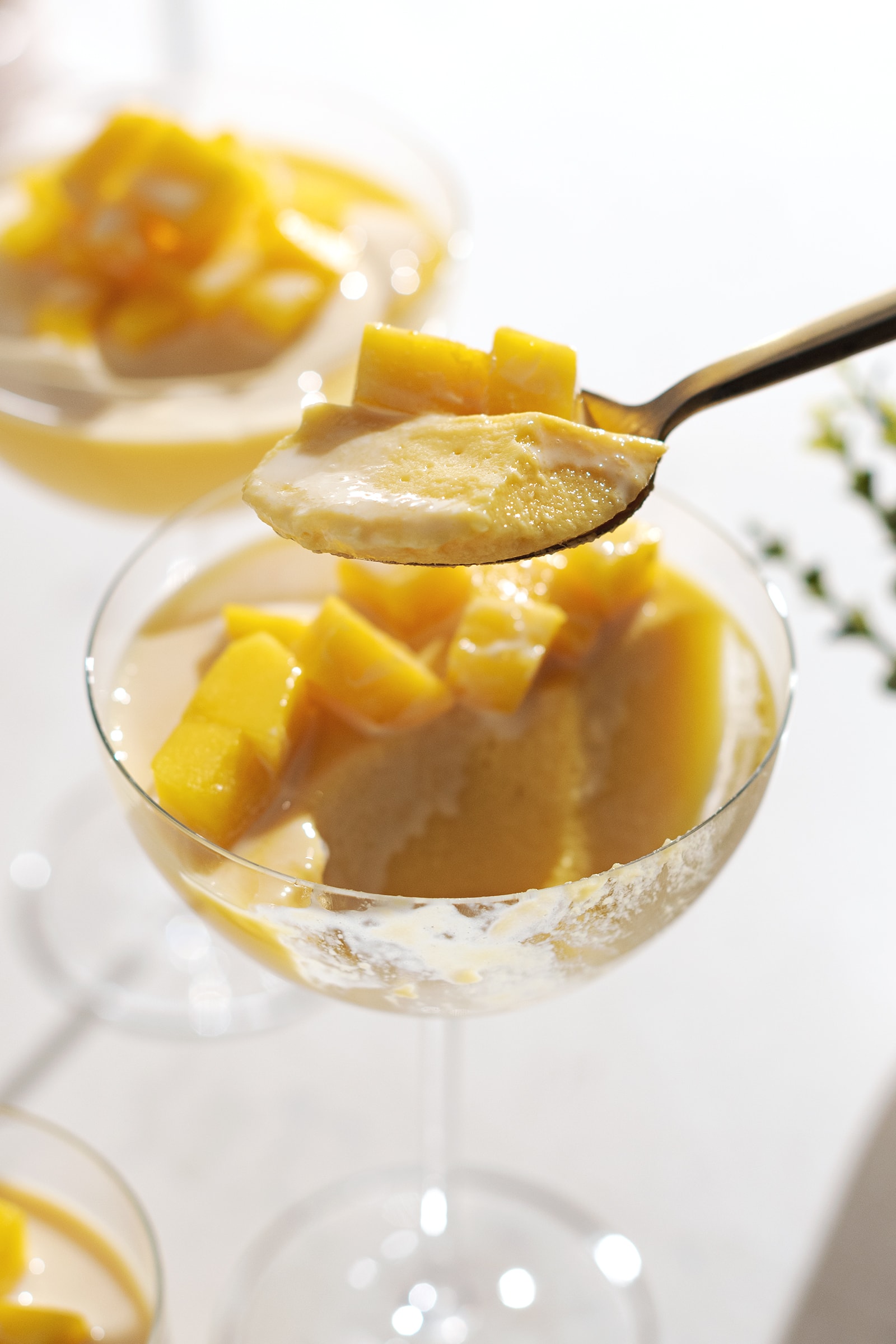 This Hong Kong style mango pudding is a classic dim sum or yum cha dessert! It's made with fresh, ripe mangoes and evaporated milk for a super creamy texture.