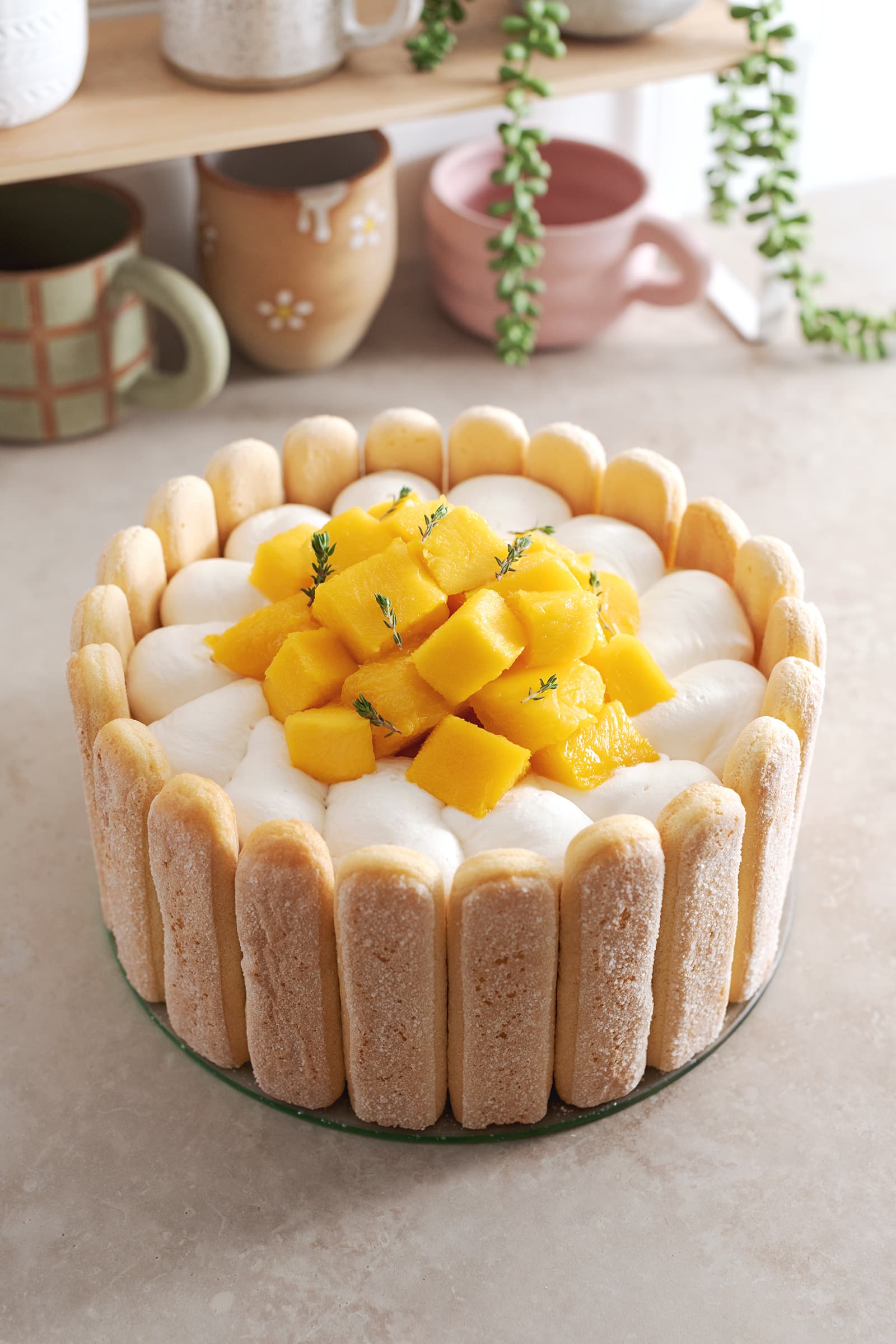 A mango charlotte cake on a plate with a ring of ladyfingers on the outside.