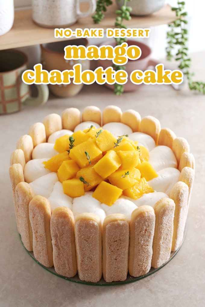 A mango charlotte cake on a plate with a ring of ladyfingers on the outside.