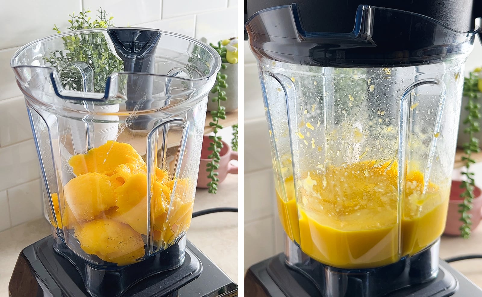Left to right: mango chunks in blender, mango puree in blender.