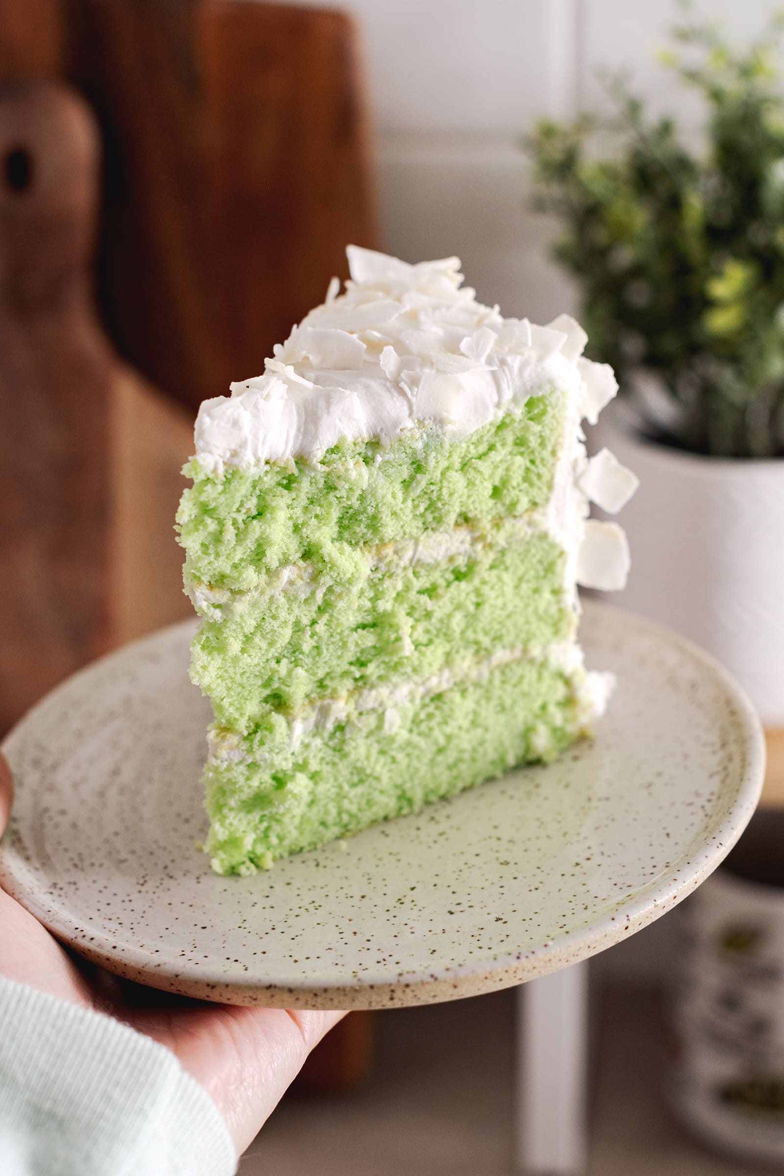 Hand holding a plate with a slice of cake on it.