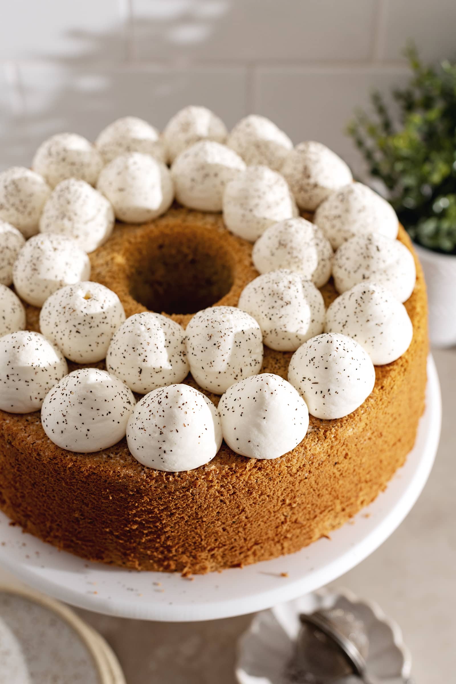 Close up of whipped cream piped on top of chiffon cake.