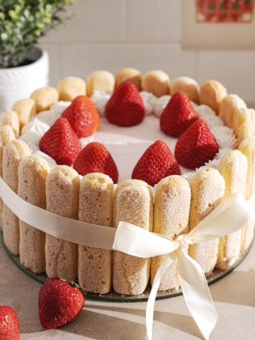 A strawberry charlotte cake wrapped in a ribbon on a counter.