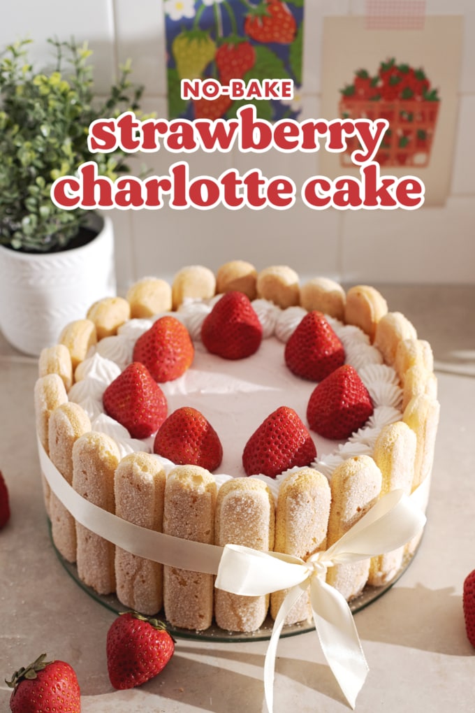 A strawberry charlotte cake wrapped in a ribbon on a counter.