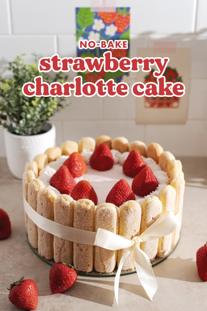 A strawberry charlotte cake wrapped in a ribbon on a counter.