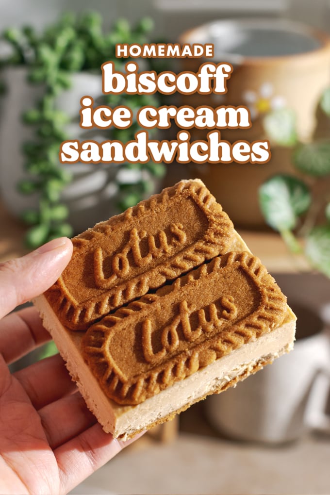 Hand holding ice cream sandwich with two biscoff cookies on top.