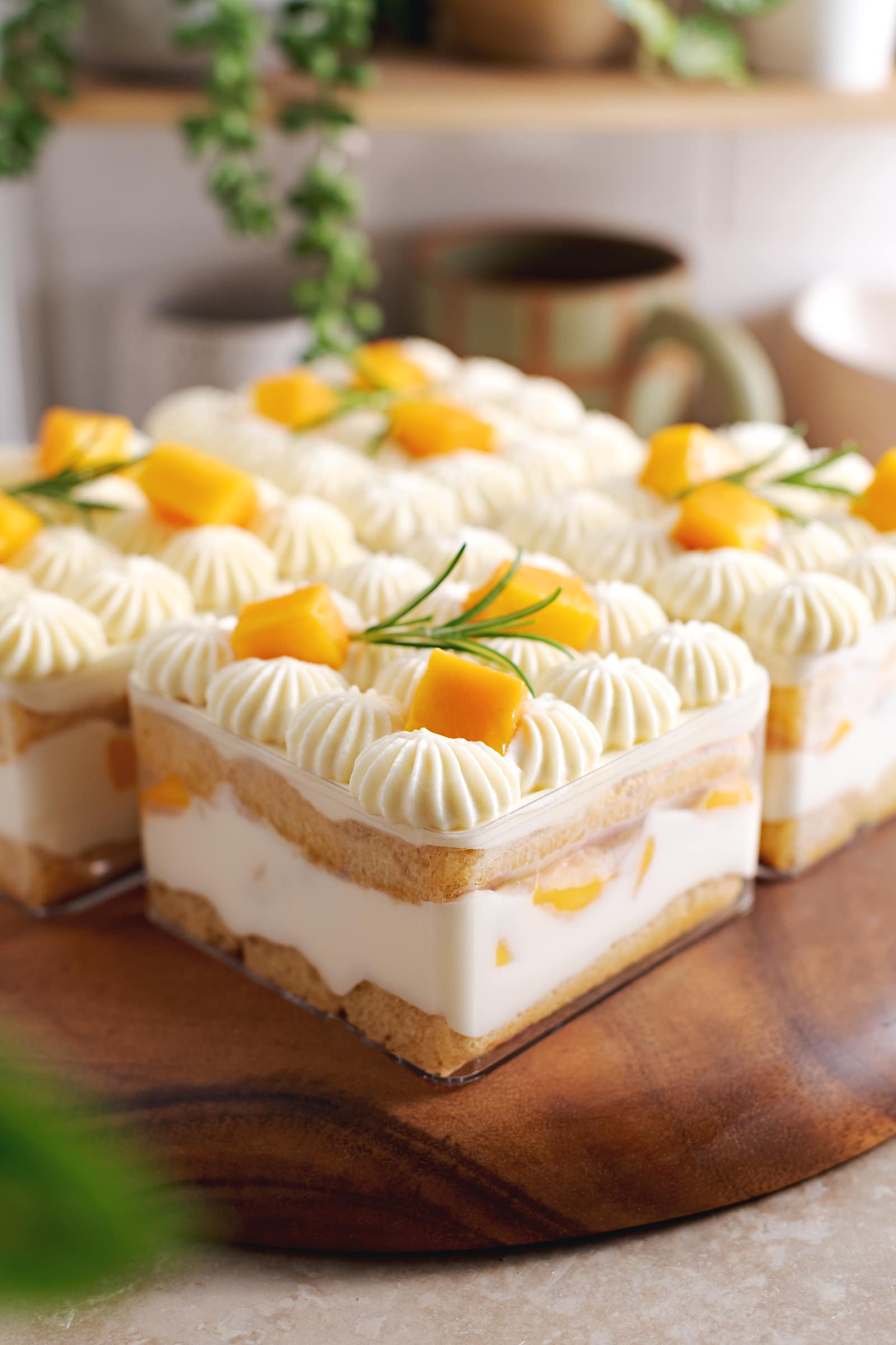 Square container of tiramisu with the layers of ladyfingers, mascarpone cream, and mangoes showing through the sides.