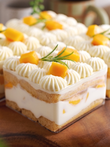 Square container of tiramisu with the layers of ladyfingers, mascarpone cream, and mangoes showing through the sides.