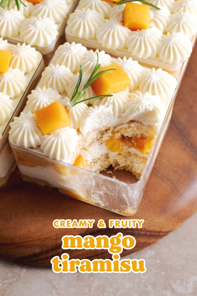 A scoop of tiramisu taken out of the container to show the layers inside.