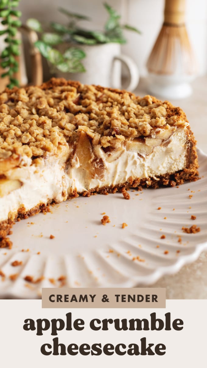 Cross section of a cheesecake to show the different layers inside.