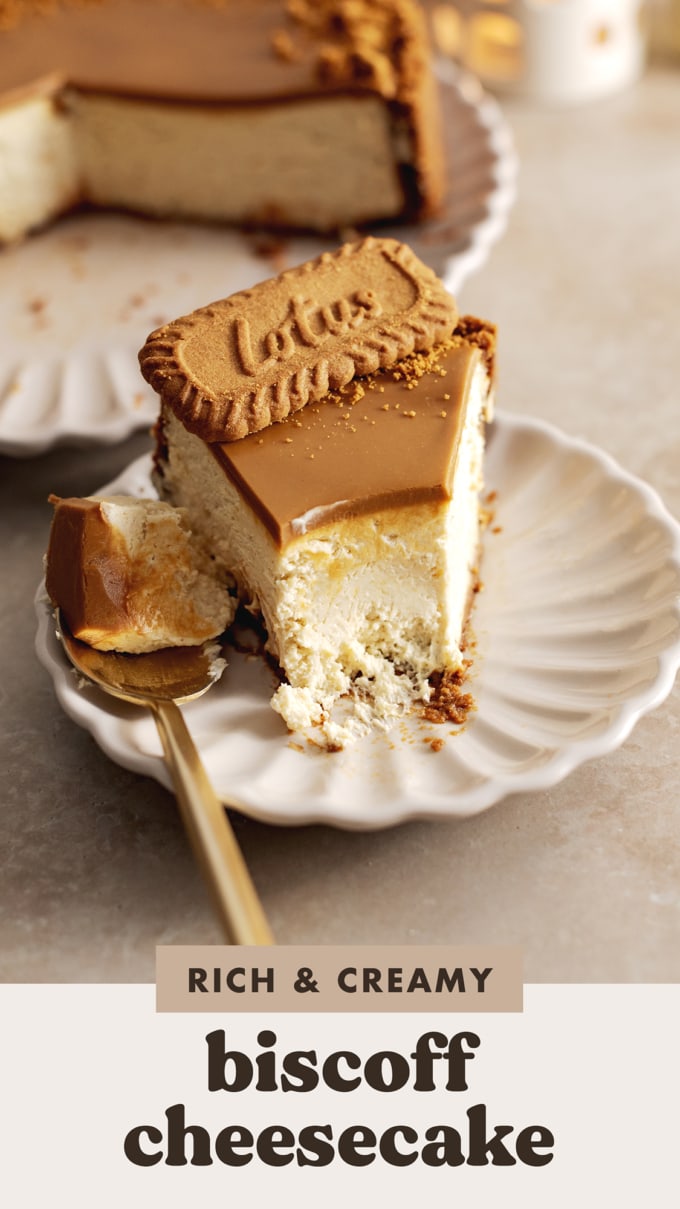 A spoonful of cheesecake taken off the end of the cheesecake slice to show the creamy texture inside.