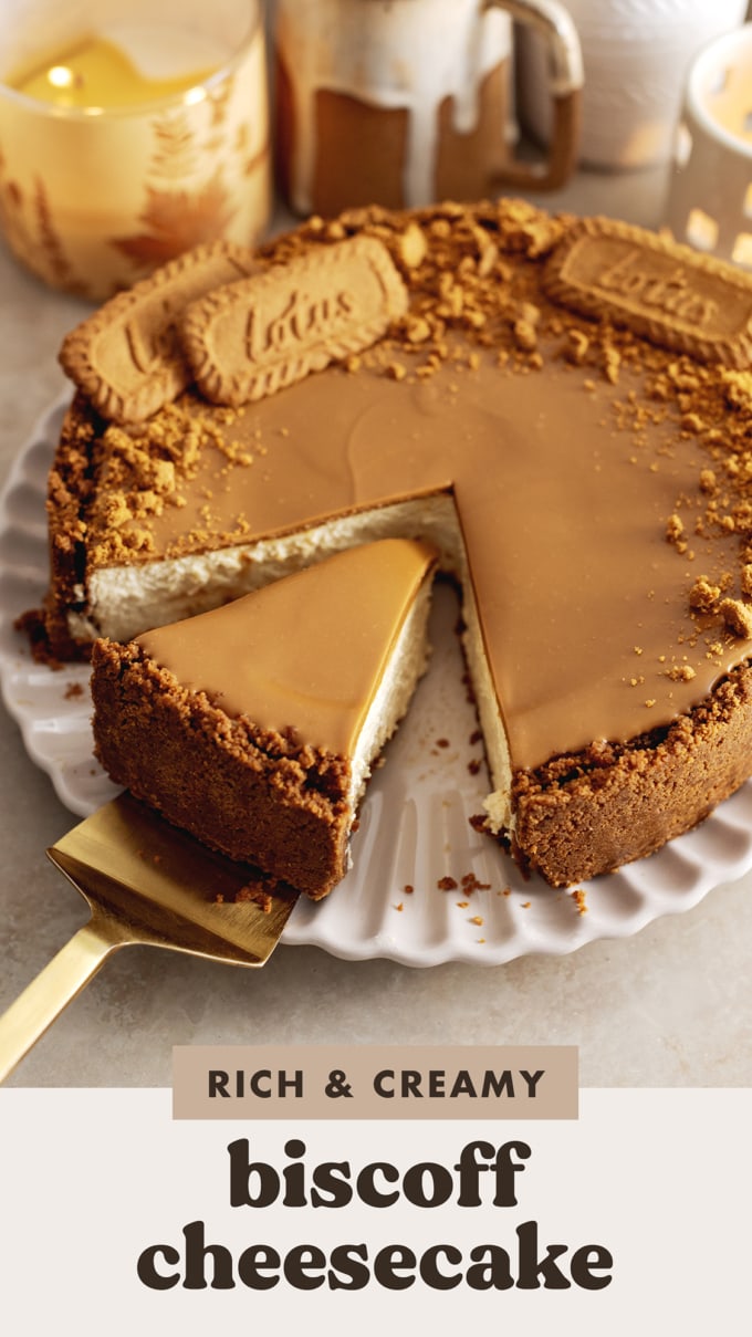 A slice cut out of a biscoff cheesecake sitting on a cake server.
