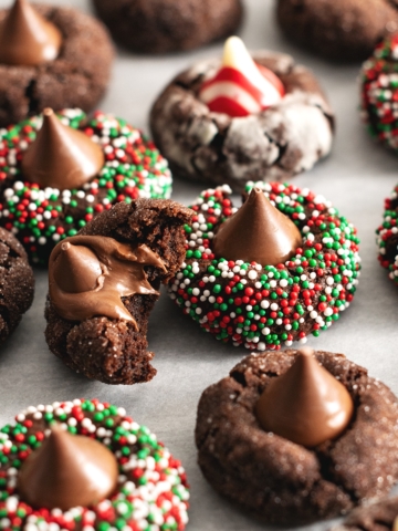 A chocolate blossom cookie with a bite taken out of it resting on another cookie.