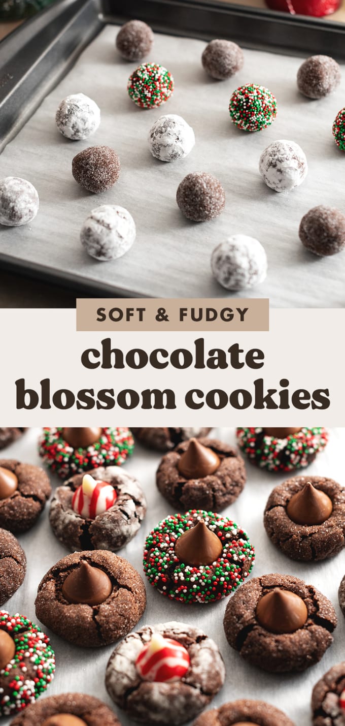 Two images of chocolate blossom cookies before and after baking with text overlay that reads "soft and fudgy chocolate blossom cookies".