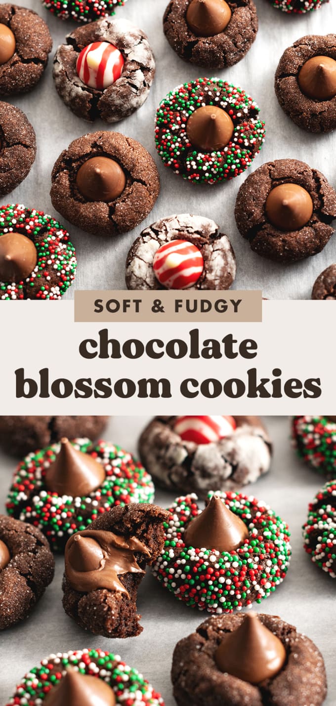 Two images of chocolate blossom cookies with text overlay that reads "soft and fudgy chocolate blossom cookies".