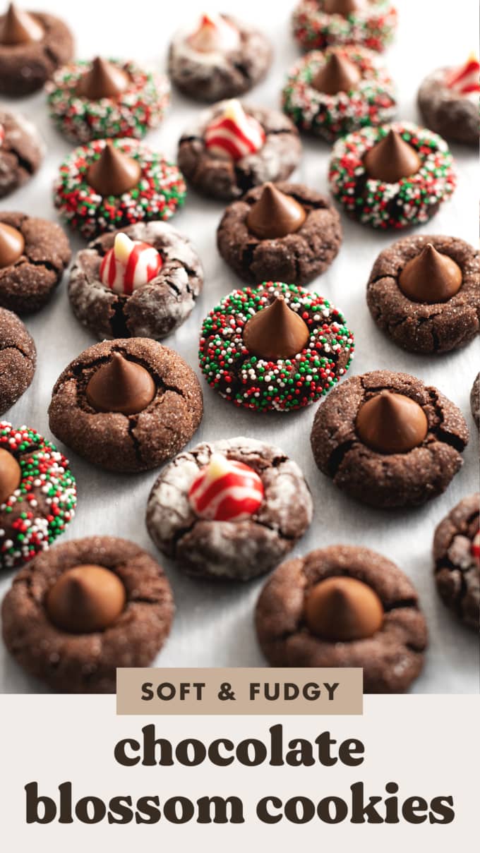 Many chocolate blossom cookies scattered on parchment paper.