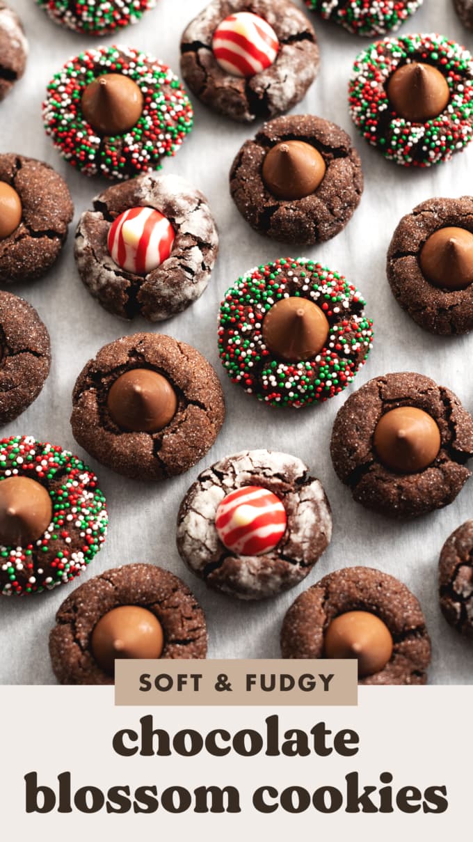 Top down view of chocolate blossom cookies with various coatings and Hershey's kiss flavour.