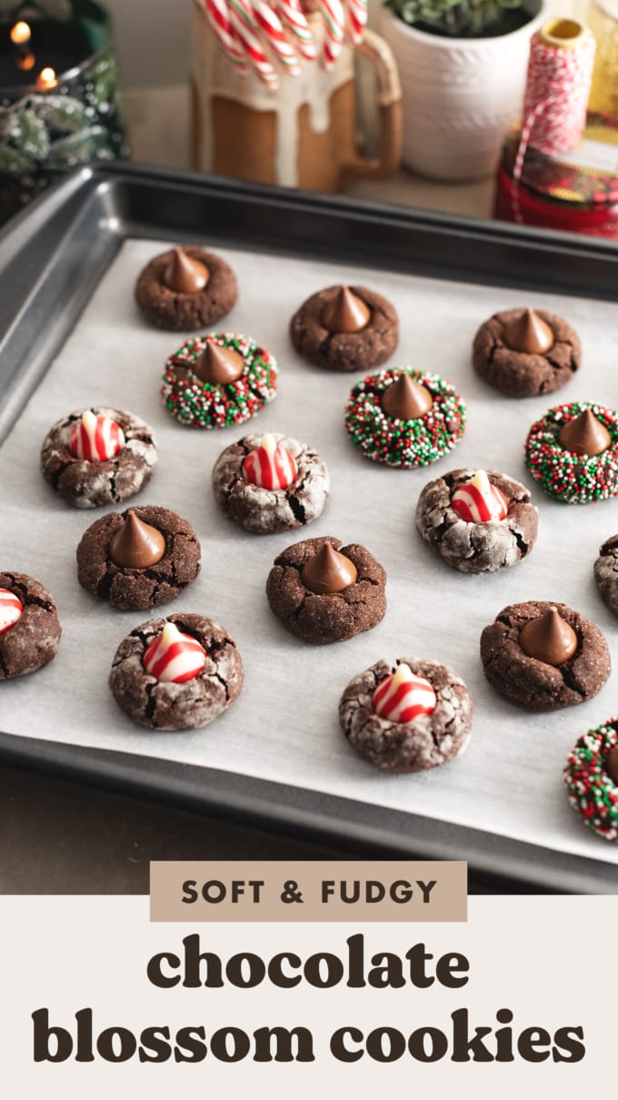 Baked chocolate blossom cookies on a baking sheet.