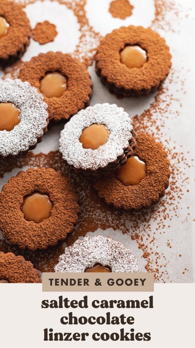 A linzer cookie dusted with powdered sugar resting on another cookie dusted with cocoa powder.
