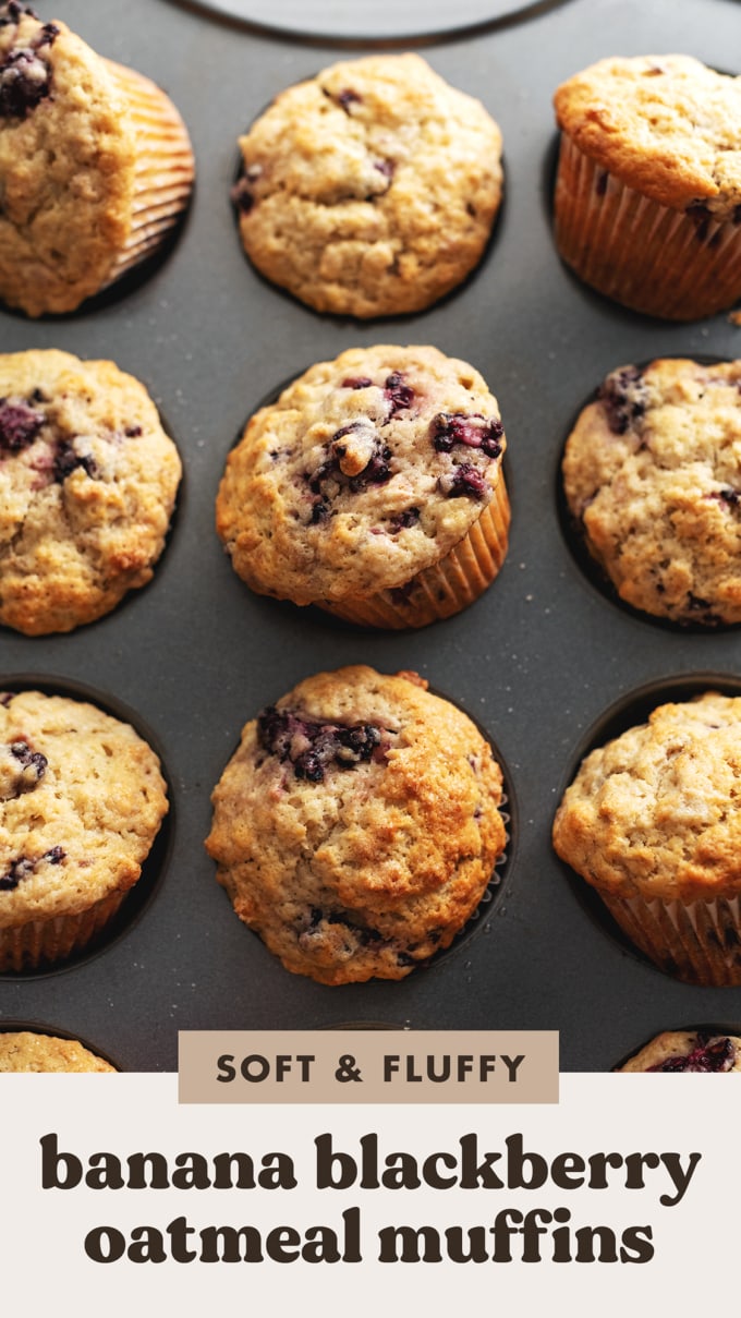 Banana blackberry oatmeal muffins in a muffin pan with some muffins tilted out of the pan.