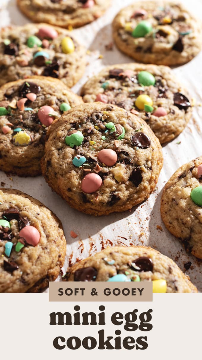 A mini egg cookie propped up on another cookie.