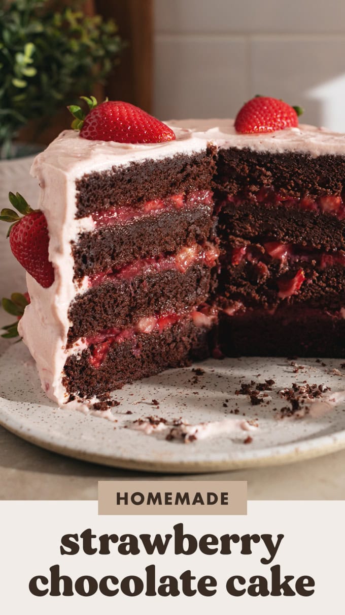 Cross-section of a strawberry chocolate cake showing the layers of chocolate cake and strawberry jam inside.
