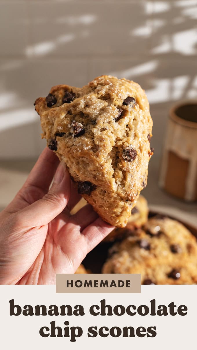 A hand holding a banana chocolate chip scone.
