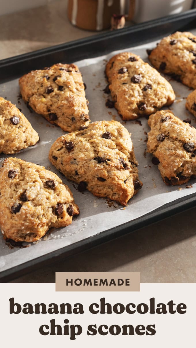 Several banana chocolate chip scones lined up on a baking tray.