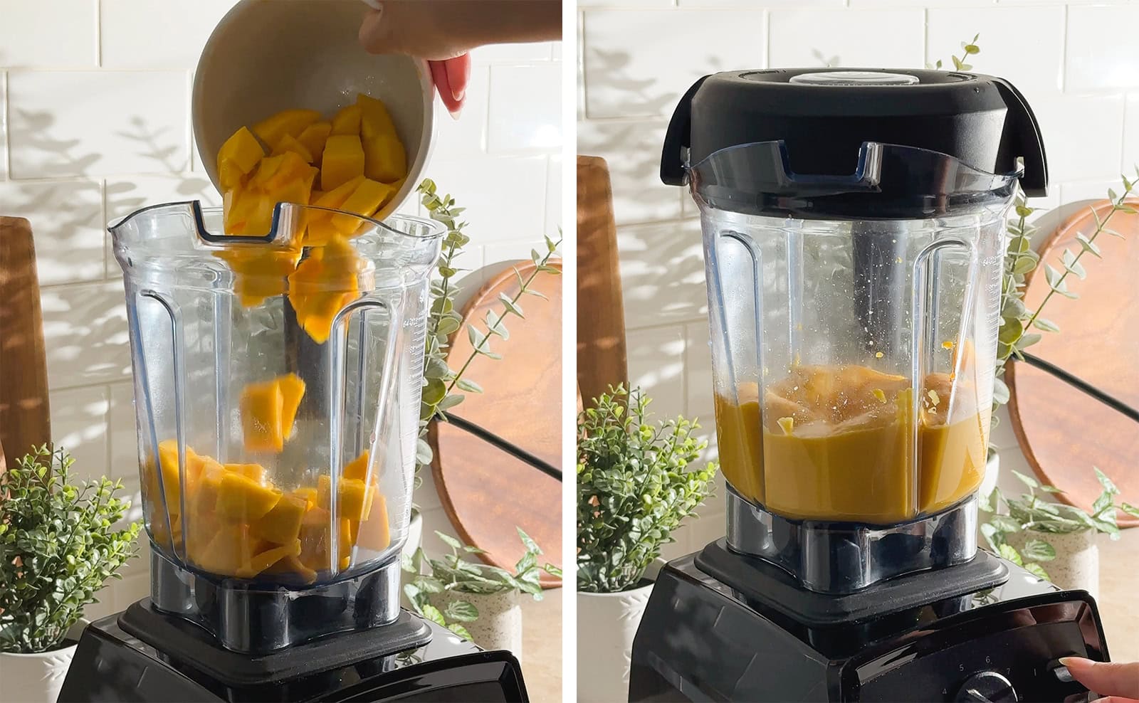 Left to right: dumping mango chunks into a blender, blending mango puree in a blender.