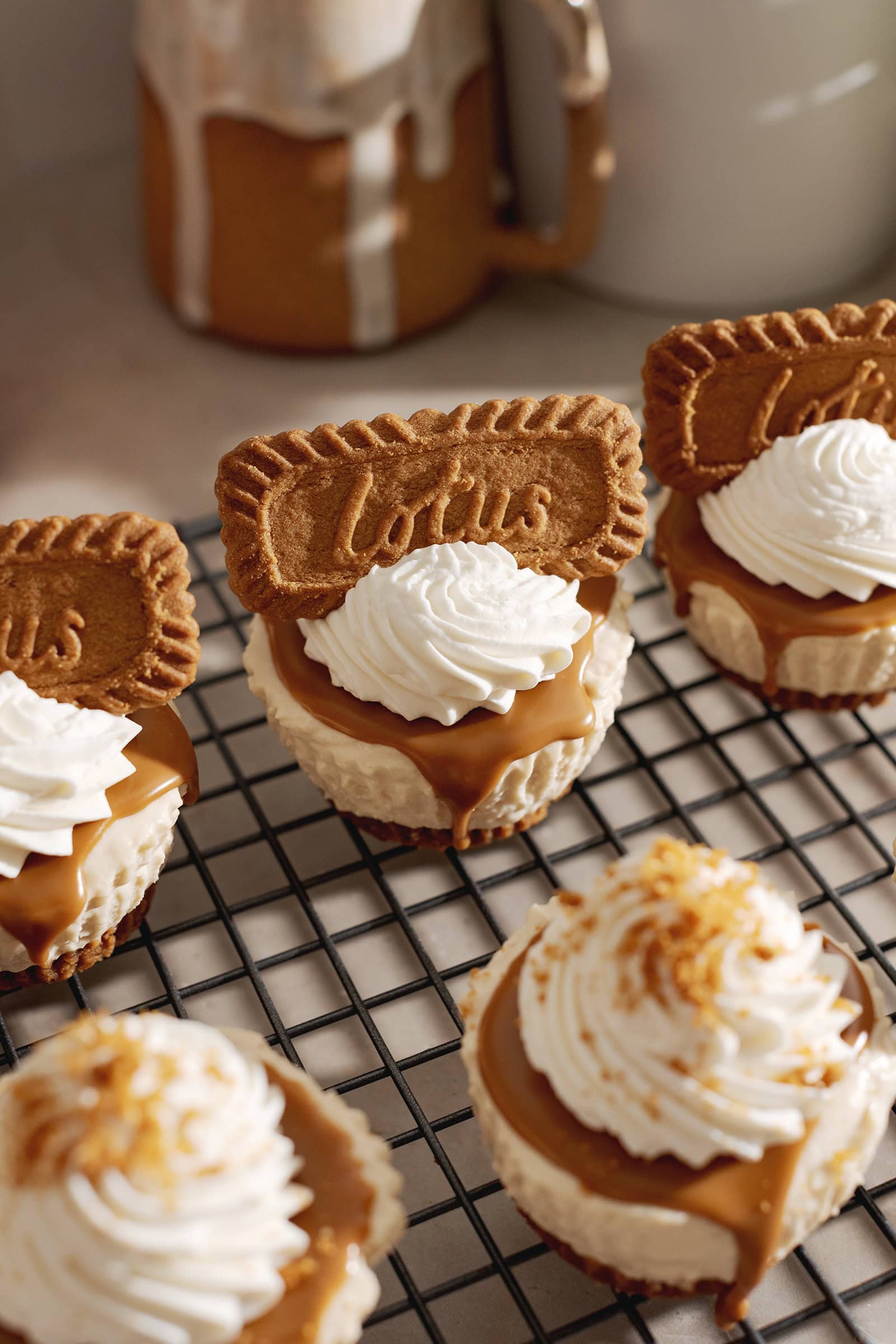 Mini biscoff cheesecakes on a wire rack with a biscoff cookie sticking out of a dollop of whipped cream on top of each one.