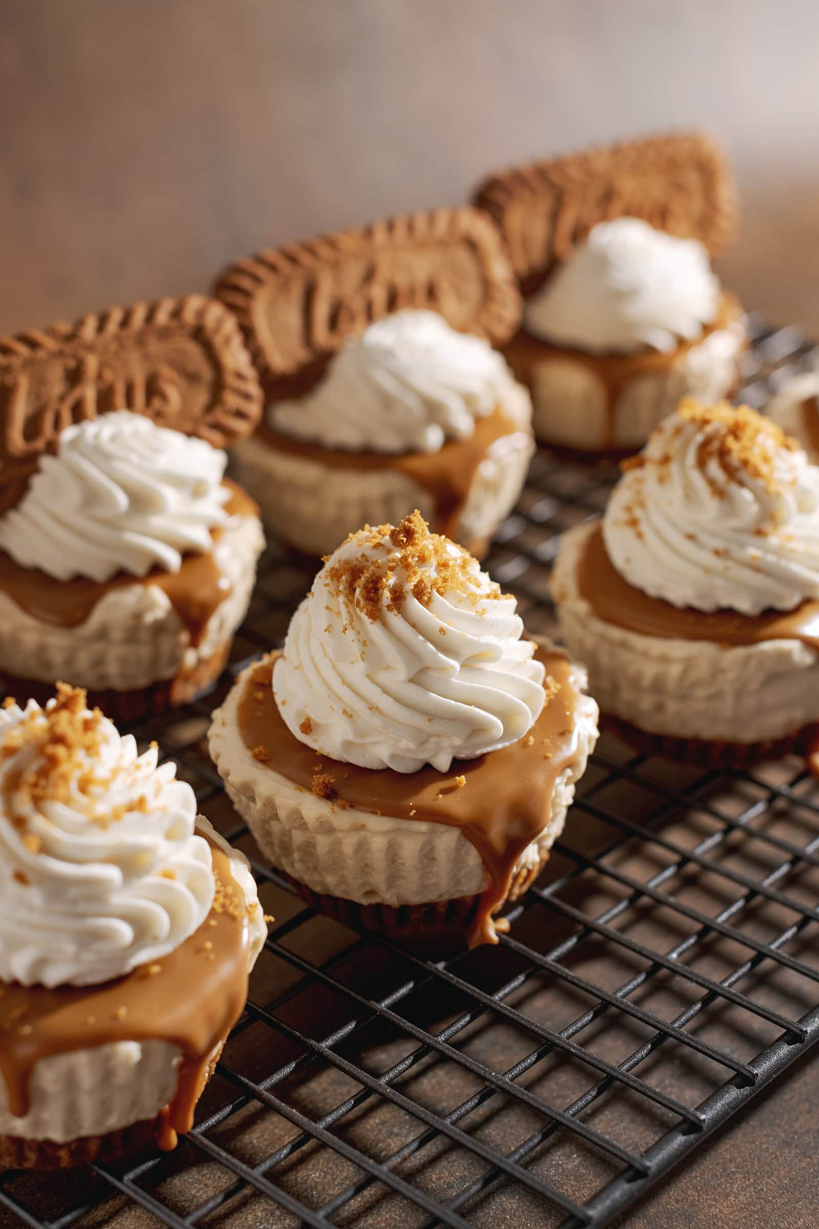 Mini biscoff cheesecakes topped with swirls of whipped cream lined up on a wire rack.