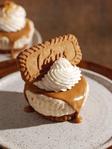 A mini biscoff cheesecake on a plate with biscoff spread dripping down the side.