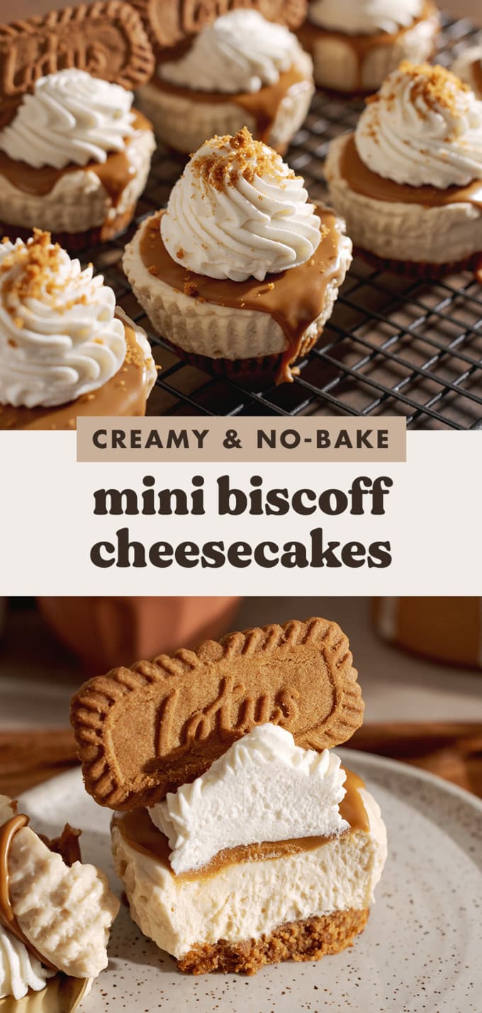 Two images of mini biscoff cheesecakes with a text overlay that says "creamy and no-bake mini biscoff cheesecakes".