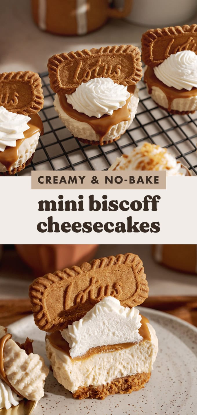 Two images of mini biscoff cheesecakes with a text overlay that says "creamy and no-bake mini biscoff cheesecakes".