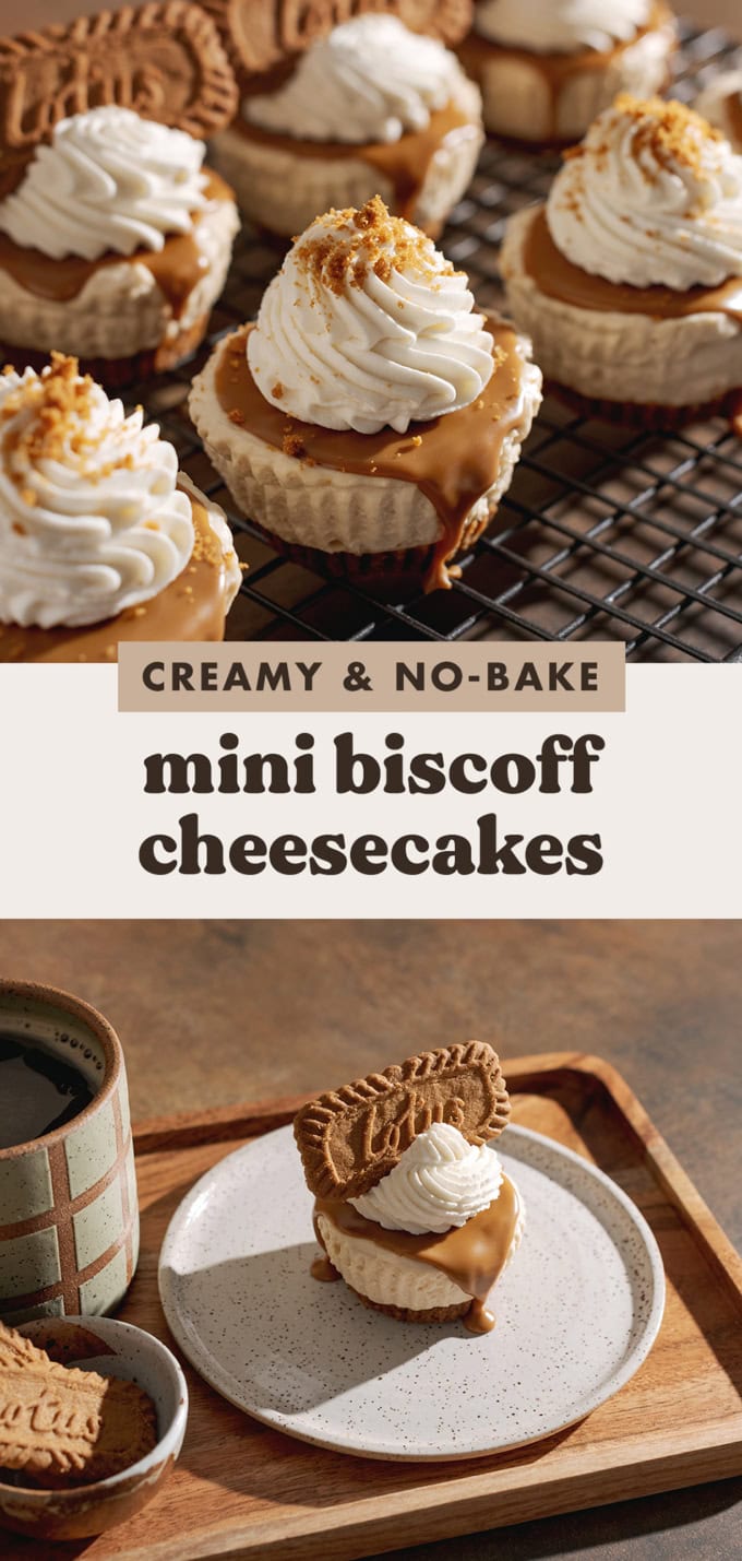 Two images of mini biscoff cheesecakes with a text overlay that says "creamy and no-bake mini biscoff cheesecakes".