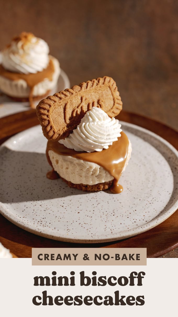 A mini biscoff cheesecake on a plate with biscoff spread dripping down the side.