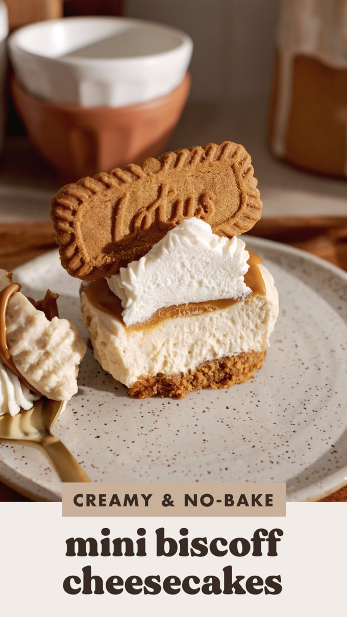 A mini biscoff cheesecake cut in half to show the texture inside.
