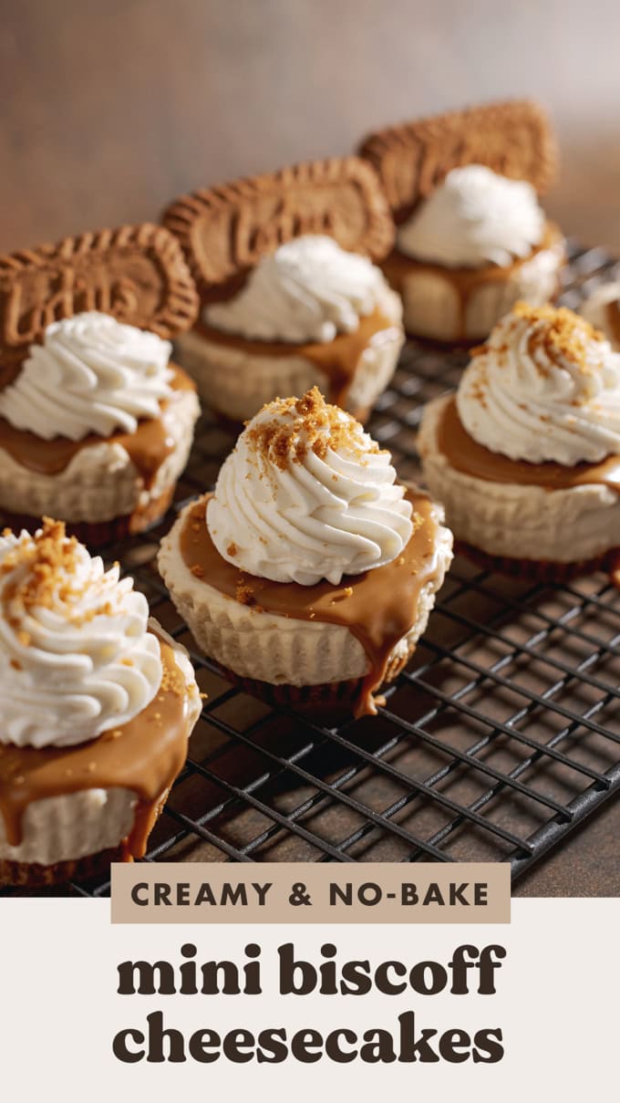 Mini biscoff cheesecakes topped with swirls of whipped cream lined up on a wire rack.