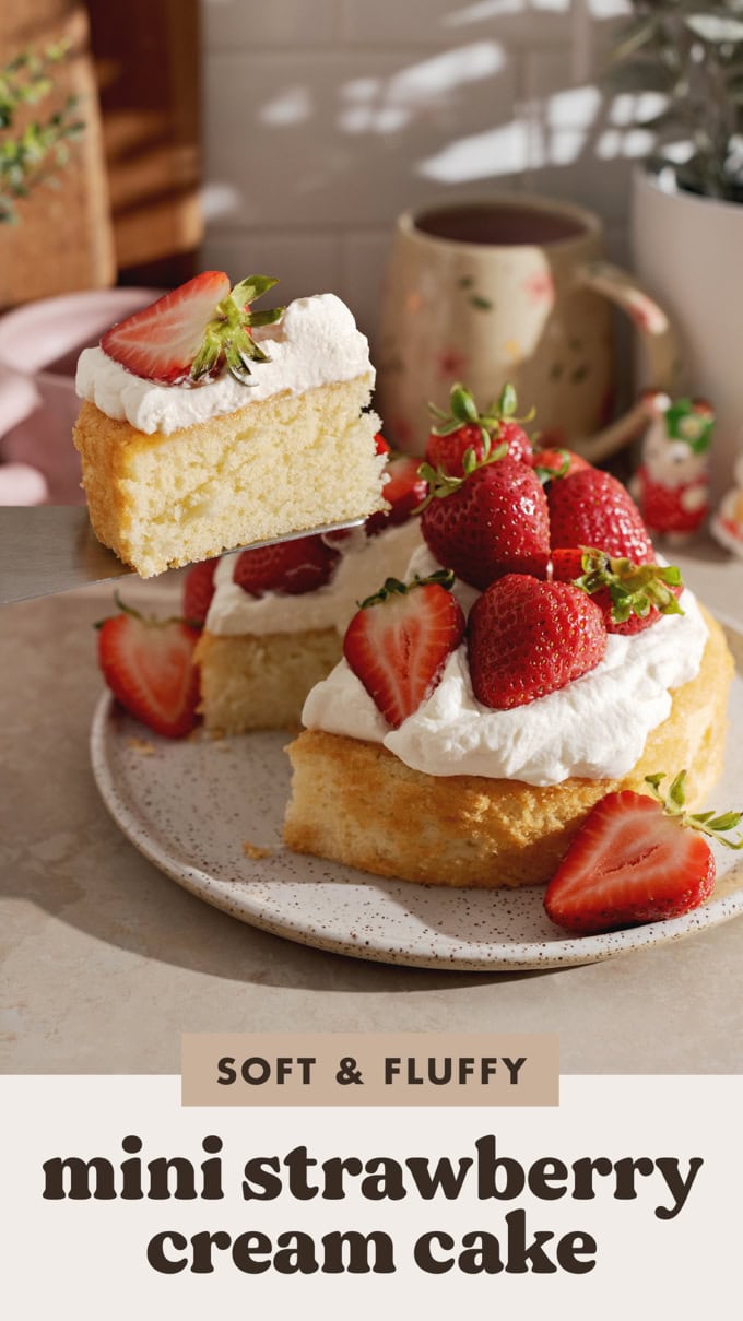 A slice of cake lifted from the rest of the cake with a cake server.