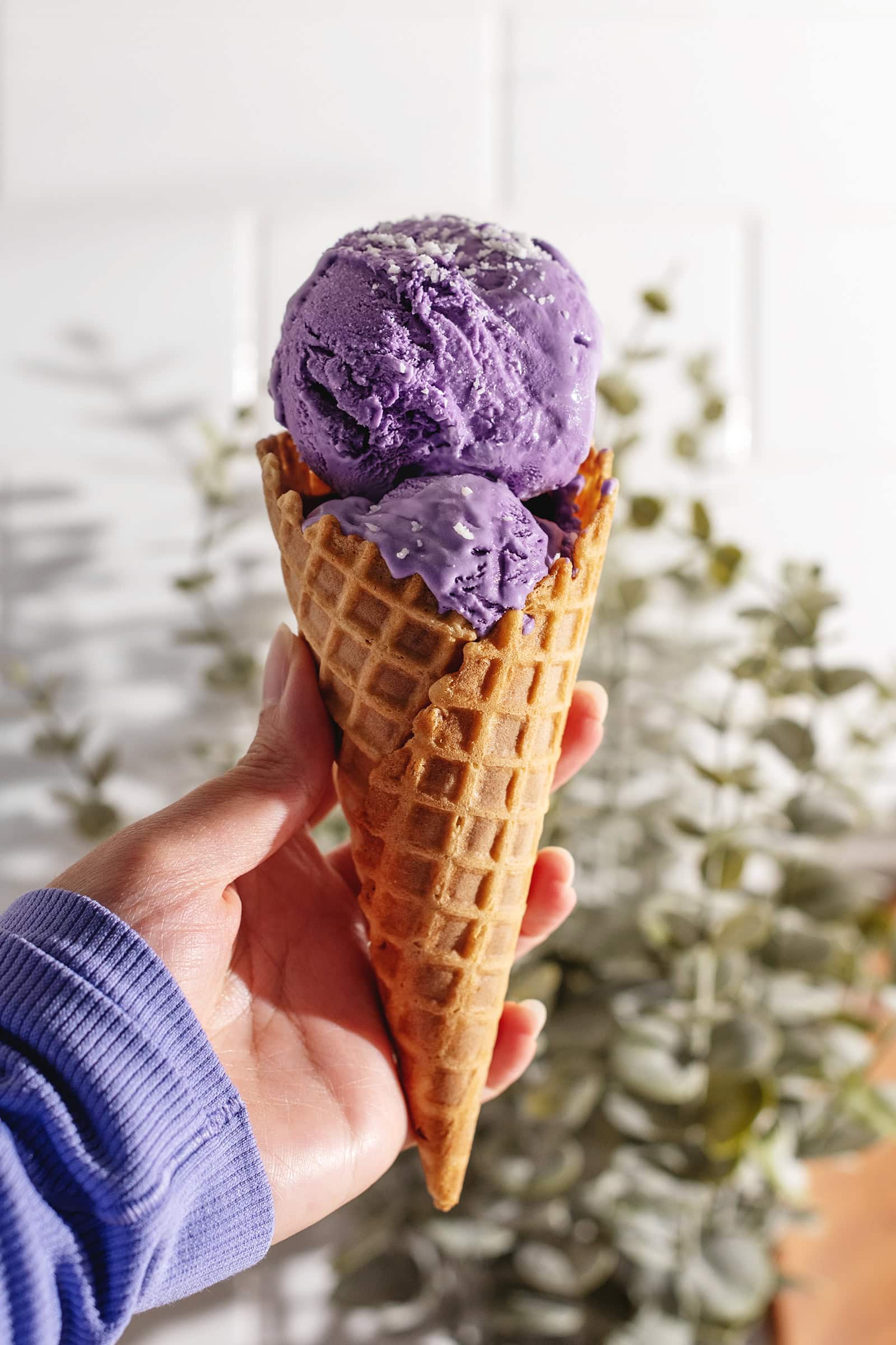 Hand holding a waffle cone with two scoops of purple ice cream.