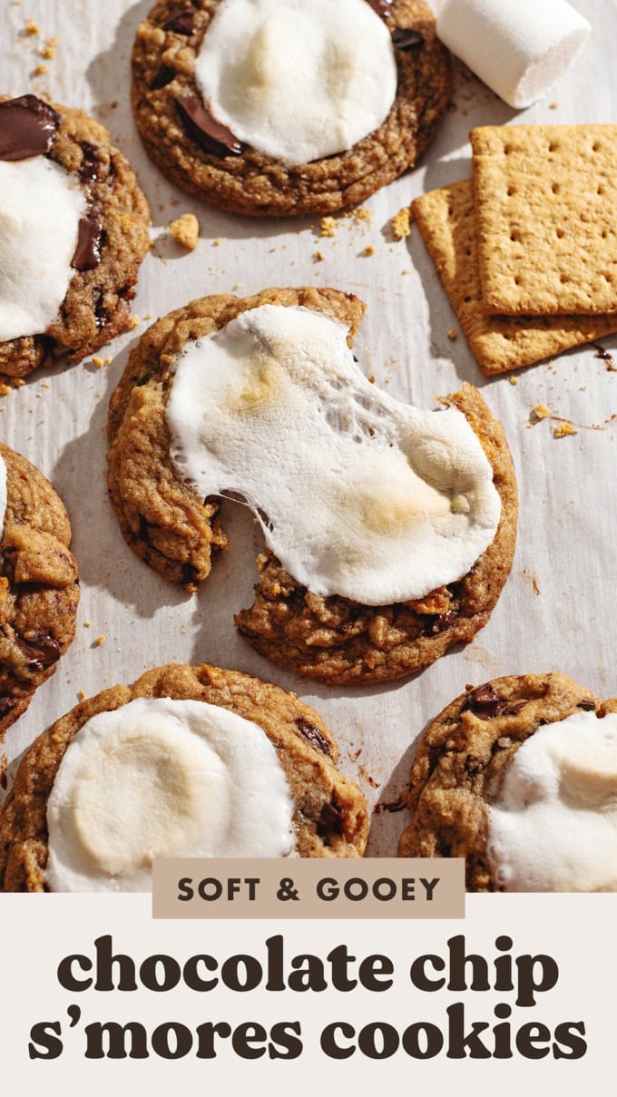 A chocolate chip s'mores cookie pulled apart to show the gooey marshmallow on top.