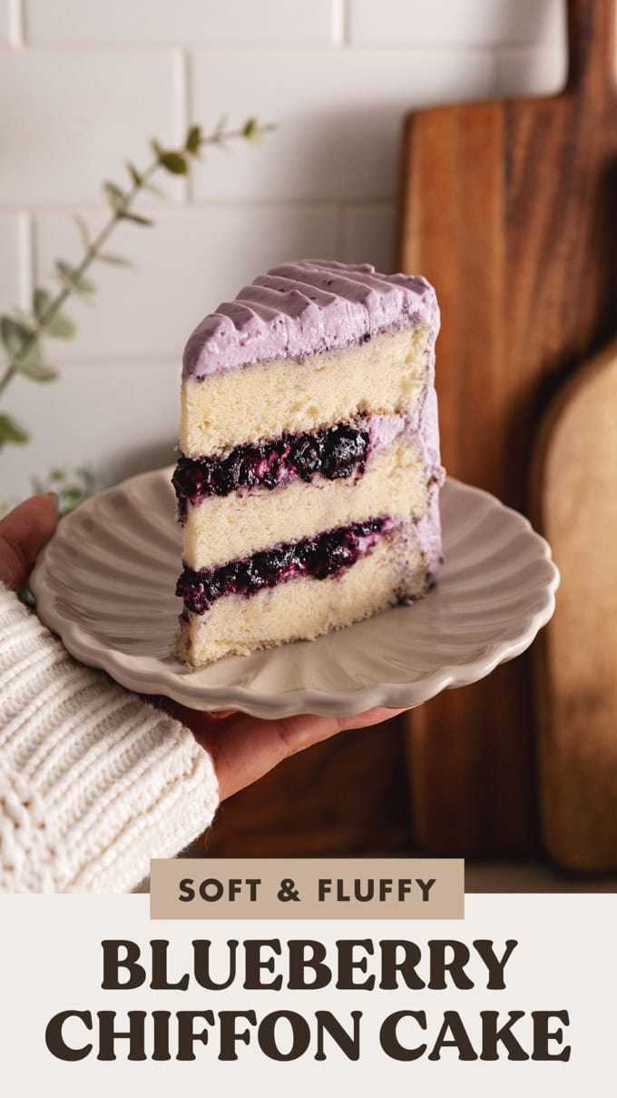 A hand holding a plate with a slice of blueberry chiffon cake.